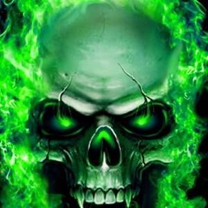 Meet your Posher, Bradley